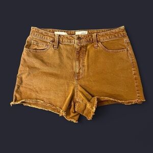 Universal Thread Vintage Midi shorts